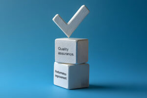 What Does QAPI Stand for?